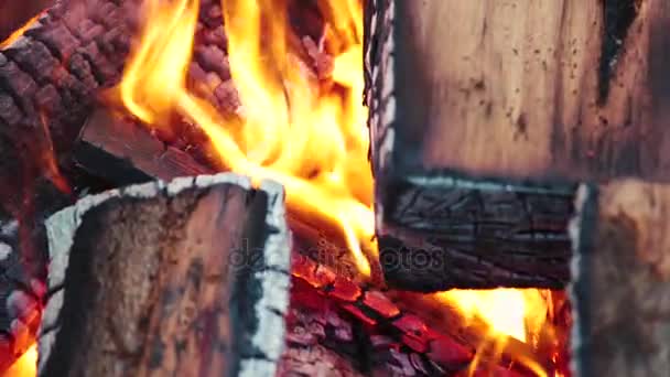 Api unggun pada hari musim panas yang bagus — Stok Video