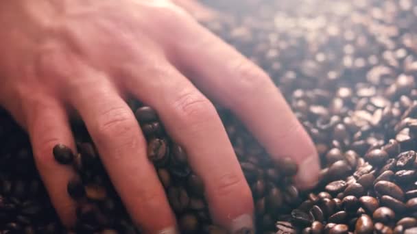 Rostning brun kaffebönor med ånga. — Stockvideo