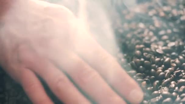 Roosteren bruin koffiebonen met stoom. — Stockvideo