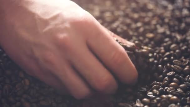 Rostning brun kaffebönor med ånga. — Stockvideo