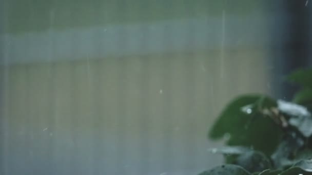 Regen geschoten op super slow motion — Stockvideo