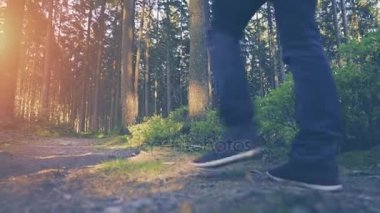 Ormanda günbatımında hiking uzun yürüyüşe çıkan kimse. 