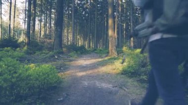 Ormanda günbatımında hiking uzun yürüyüşe çıkan kimse. 