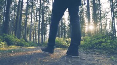 Ormanda günbatımında hiking uzun yürüyüşe çıkan kimse. 