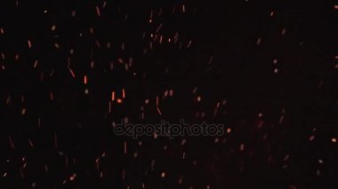 alevler ve siyah arka plan üzerinde parlayan külleri ateş