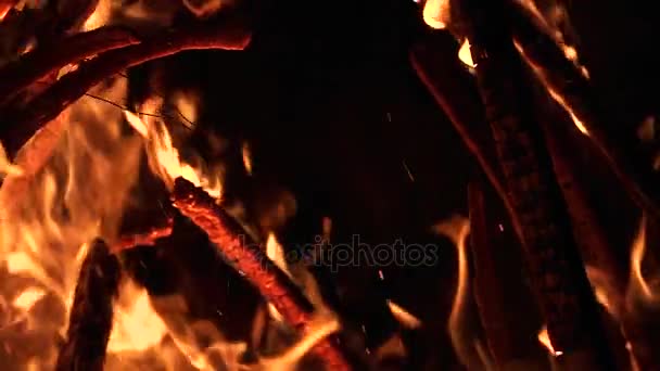 Flammer og glødende aske på svart bakgrunn – stockvideo