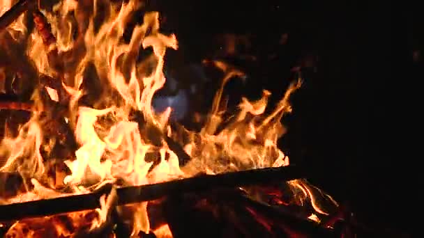 Ogień, płomienie i świecące popiół na czarnym tle — Wideo stockowe