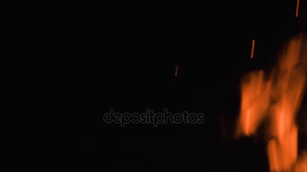 Fire flames and glowing ashes on black background — Stock Video