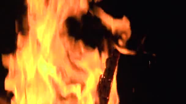 Flammes de feu et cendres incandescentes sur fond noir — Video