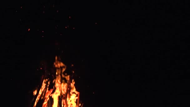 Llamas de fuego y cenizas brillantes sobre fondo negro — Vídeo de stock
