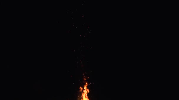 Fire flames and glowing ashes on black background — Stock Video