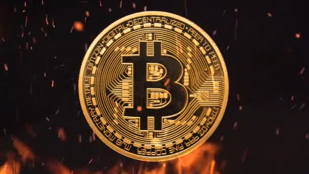 Bitcoin-Geld brennt in Flammen — Stockvideo