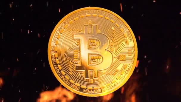 Bitcoin pénzt a lángok égő — Stock videók