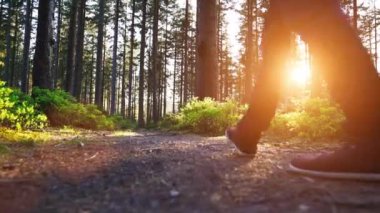 Uzun yürüyüşe çıkan kimse ormanda günbatımı hiking. Günbatımında harika manzarayı güzel Alman ormandaki Schwarzwald peyzaj uzun yürüyüşe çıkan kimse.