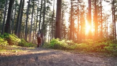 Uzun yürüyüşe çıkan kimse ormanda günbatımı hiking. Günbatımında harika manzarayı güzel Alman ormandaki Schwarzwald peyzaj uzun yürüyüşe çıkan kimse.
