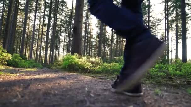 Vandrare Vandring Skogen Vid Solnedgången Fjällvandrare Njuter Awesome Utsikten Solnedgången — Stockvideo