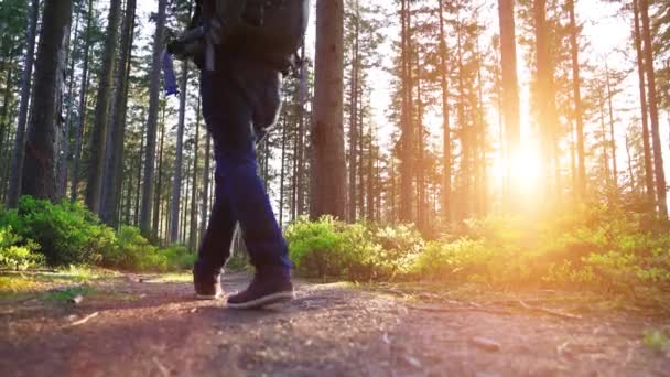 Vandrare Vandring Skogen Vid Solnedgången Fjällvandrare Njuter Awesome Utsikten Solnedgången — Stockvideo