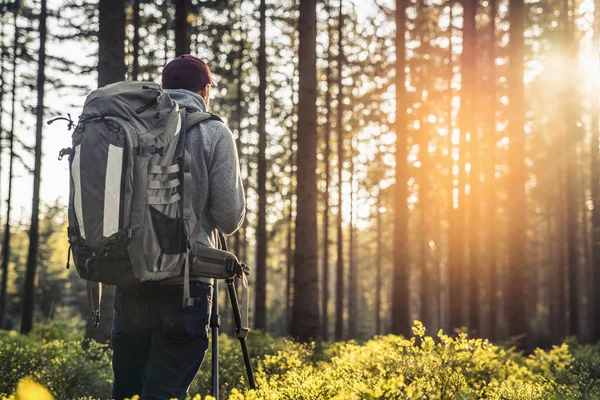 Fotógrafo toma una foto en el bosque en primavera — Foto de Stock