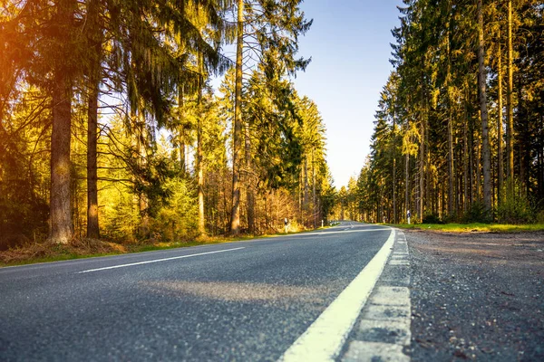 Motorvägen in Silent skogen våren — Stockfoto