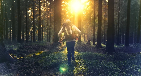 Young man in silent forest with sunlight — Stock Photo, Image