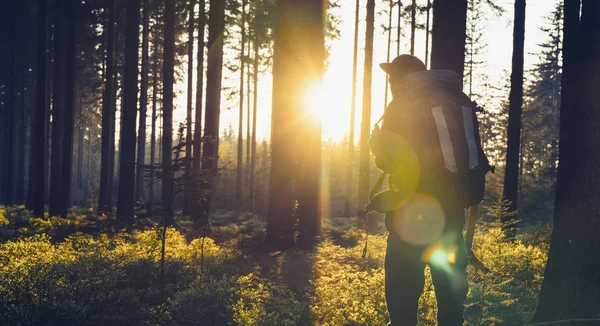 Junger Mann im stillen Wald mit Sonnenlicht — Stockfoto