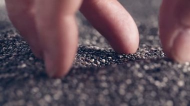 Chia tohum otantik-ahşap masanın üzerine düşen yavaş kapat