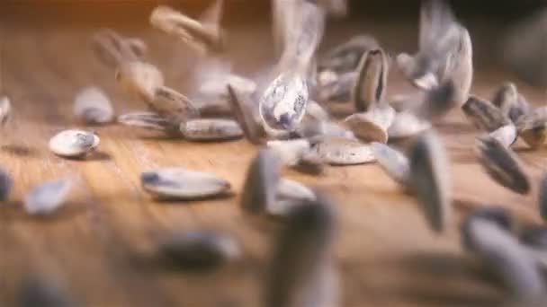 Some Sunflower Seeds Poured Out Wooden Table Sliding Camera Slow — Stock Video