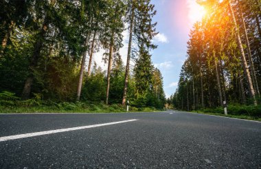 Sessiz Orman 'a giden yol ilkbaharda güneşli olacak.