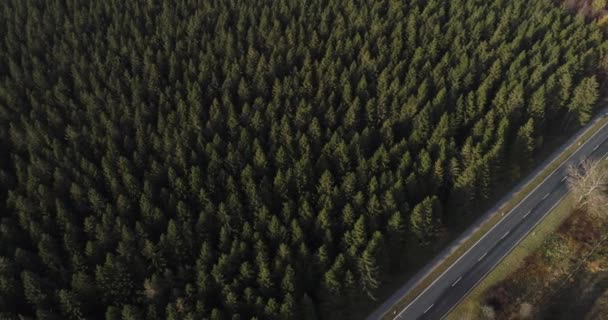 Birds Eye View Remote Road Forest Landscape Εναέρια Λήψη Drone — Αρχείο Βίντεο