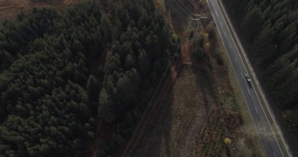 Fåglar Syn Avlägsen Väg Skogslandskapet Antenn Drönare Skott — Stockvideo