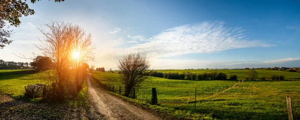 美しい明るい太陽の光に春のサイレント フォレスト — ストック写真