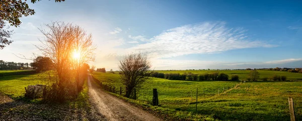 Silent Forest våren med vackra ljusa solen strålar — Stockfoto