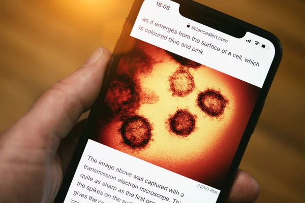 Apple iphone ekranı, Bilim Alarmı web sitesinin içeriğiyle Coronavirus of the corona covid-19 virüsünün elektron mikrografını gösteriyor