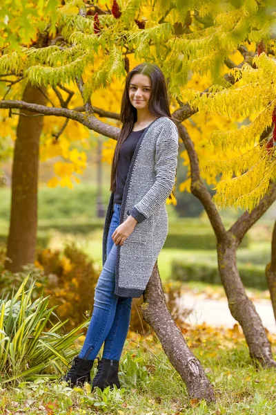 Retrato de chica adolescente bonita en el parque de otoño —  Fotos de Stock