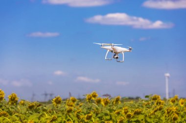 Ayçiçeği alanın üzerine hovering dron  