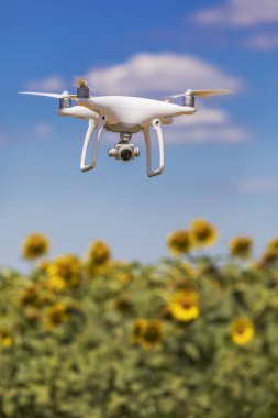 Ayçiçeği alanın üzerine hovering dron  