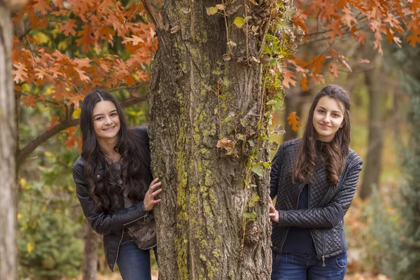 Dos chicas divirtiéndose en el parque de otoño —  Fotos de Stock