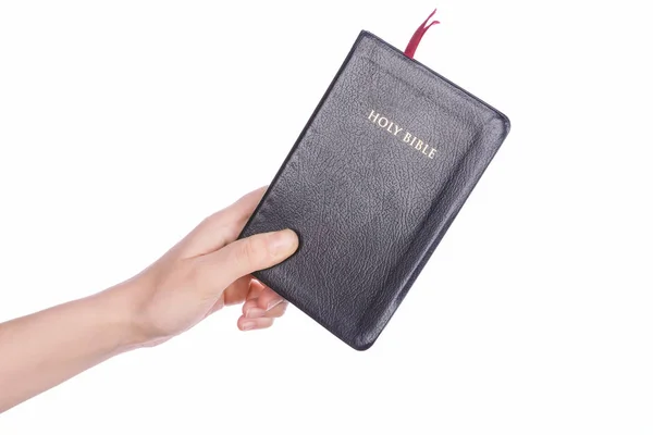 Frauenhand hält die heilige Bibel auf weiß — Stockfoto