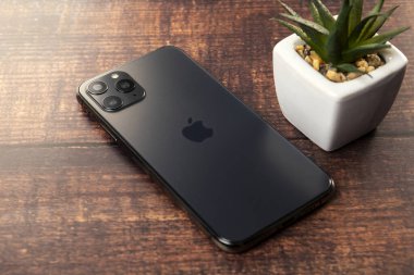 Galati, Romanya, 20 Şubat 2020: Yeni Iphone 11 Pro Max. IPhone 11 Pro, Apple tarafından geliştirilen bir akıllı telefon şirketidir. Space Gray akıllı telefon arka görüntüsü çiçek yakınlarındaki ahşap masadadır. Akıllı telefon kamerasına odaklan.