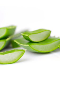 aloe vera yaprağı 