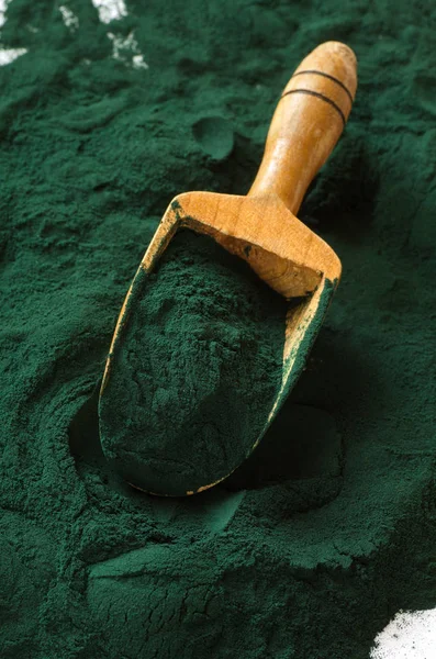 Organik spirulina tozu — Stok fotoğraf