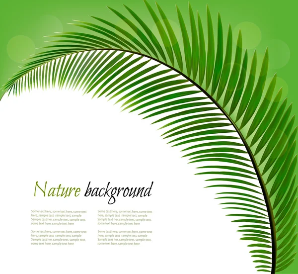 Natureza fundo com uma folha de palma. Vetor — Vetor de Stock