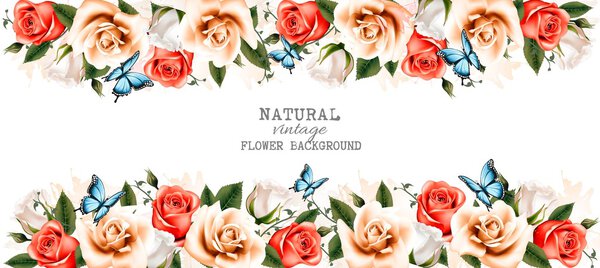 Horizontal banner with roses and butterflies. Vector.
