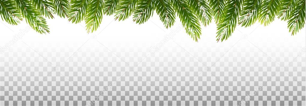Holiday Christmas Frame With Green Tree Branches on Transparent — Stock Illustration Holiday Christmas Frame With Green Tree Branches on Transparent Stock Illustration
