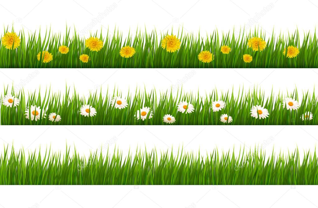 Big collection of green grass and flowers. Vector.