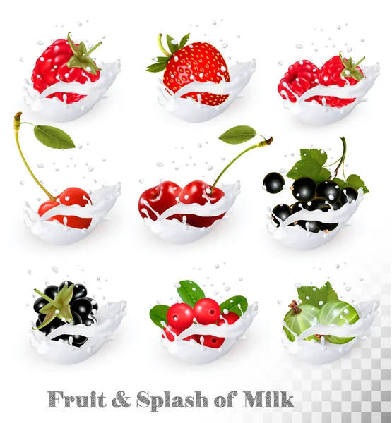 Big collection of fruit and berries in a milk splash. Raspberry, — Stock Vector