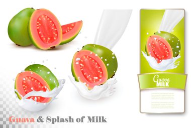 Guava in a milk splash and label on a transparent background. Ve clipart