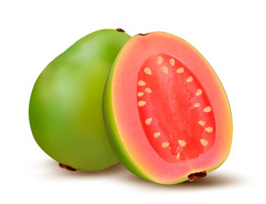 Fresh green Guava fruit. Vector. clipart
