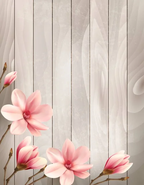 Naturaleza primavera fondo con hermosas ramas magnolia en woo — Vector de stock