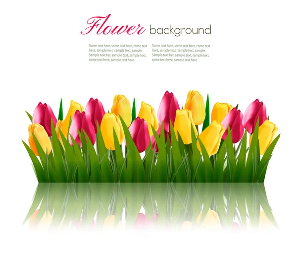 De achtergrond van de natuur met groen gras en kleurrijke bloemen. Vector. — Stockvector